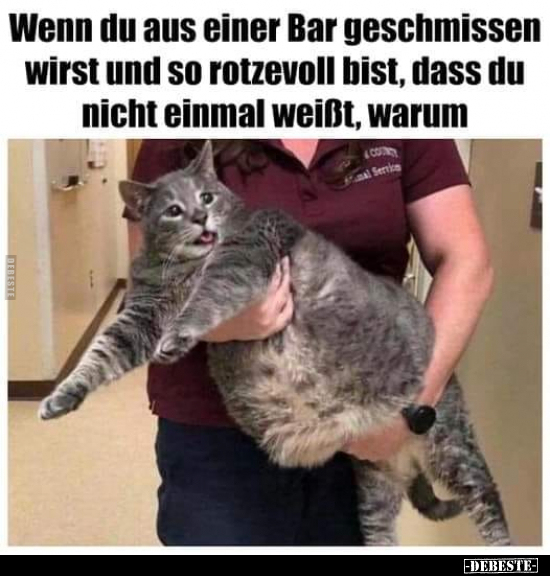 Wenn du aus einer Bar geschmissen wirst und so rotzevoll.. - Lustige Bilder | DEBESTE.de