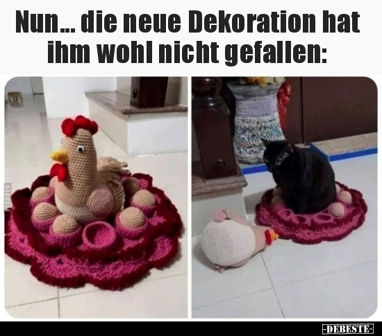 Nun... die neue Dekoration hat ihm wohl nicht gefallen.. - Lustige Bilder | DEBESTE.de