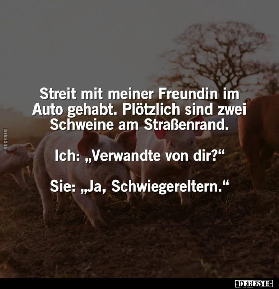 Streit Mit Meiner Freundin Im Auto Gehabt Pl tzlich Sind Zwei Schweine Streit Mit Meiner Freundin Im Auto Gehabt Pl tzlich Sind Zwei Schweine
