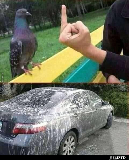  - Lustige Bilder | DEBESTE.de