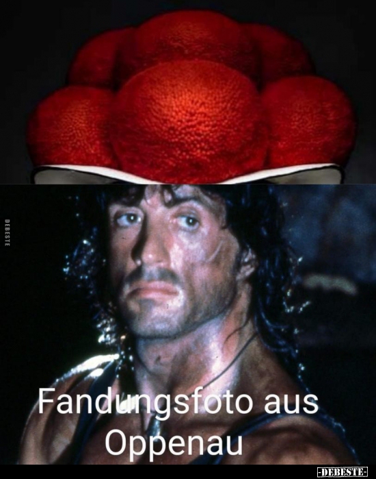 Fahndungsfoto aus Oppenau...