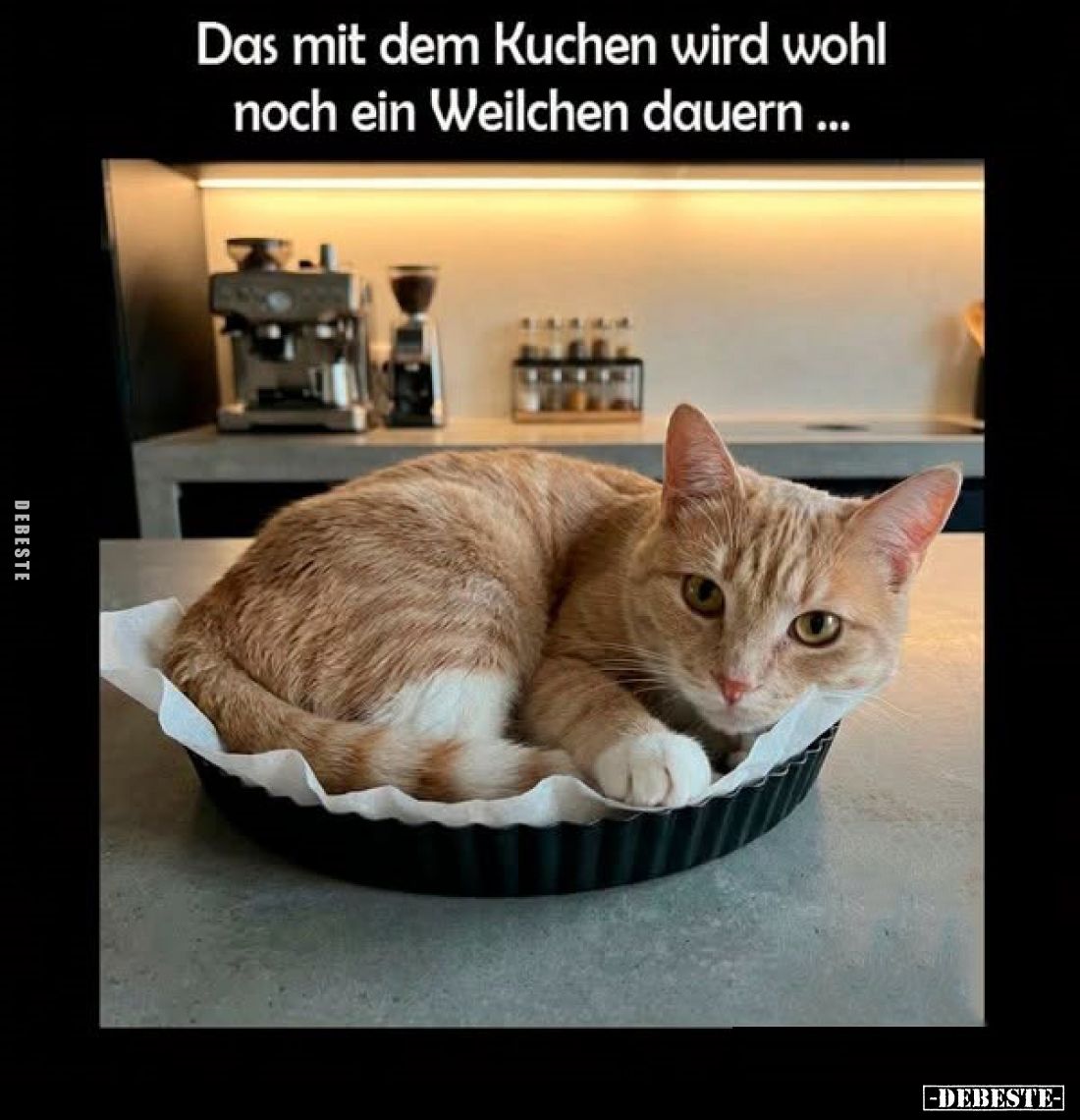 Das mit dem Kuchen wird wohl noch ein Weilchen dauern...