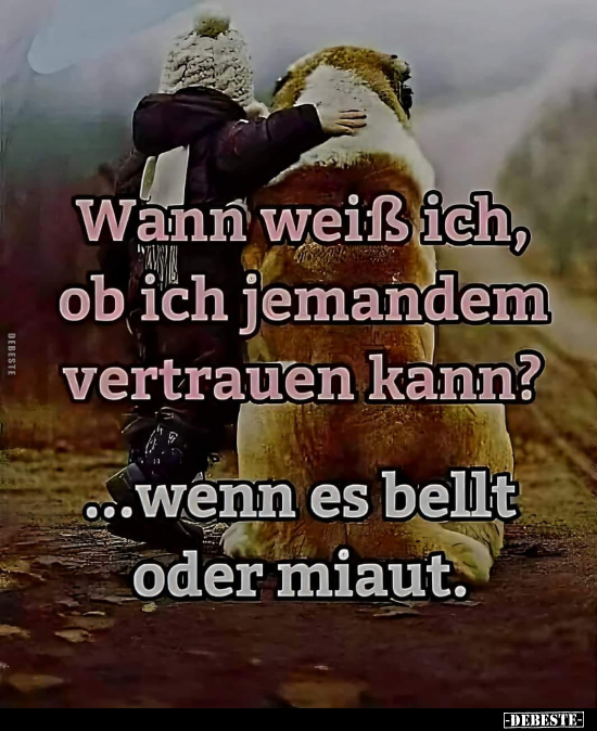 Wann weiß ich, ob ich jemandem vertrauen kann?.. - Lustige Bilder | DEBESTE.de