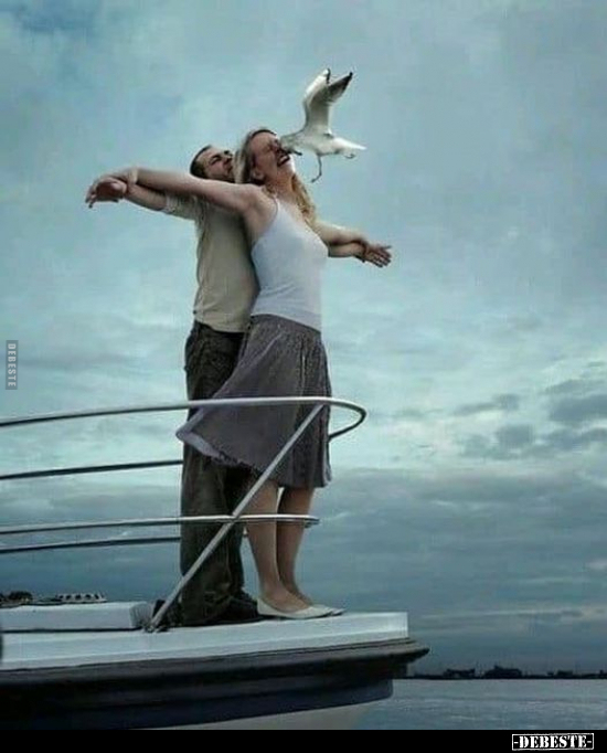  - Lustige Bilder | DEBESTE.de