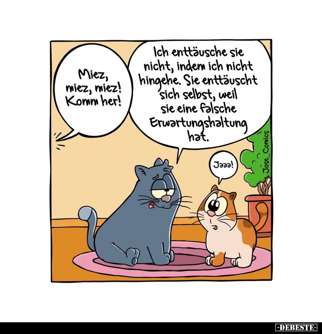 Miez, miez, miez! Komm her!.. - Lustige Bilder | DEBESTE.de
