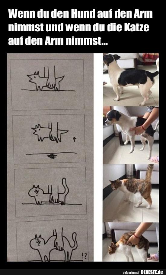 Wenn du den Hund auf den Arm nimmst und wenn du..