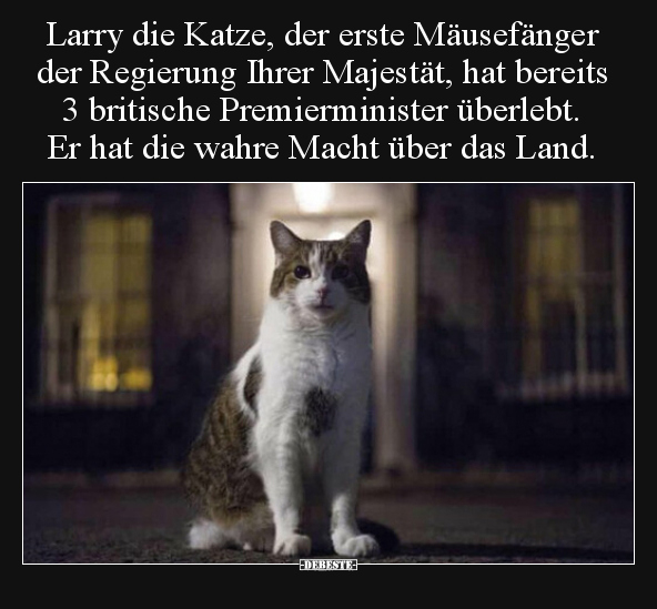 Larry die Katze, der erste Mäusefänger der Regierung Ihrer.. - Lustige Bilder | DEBESTE.de