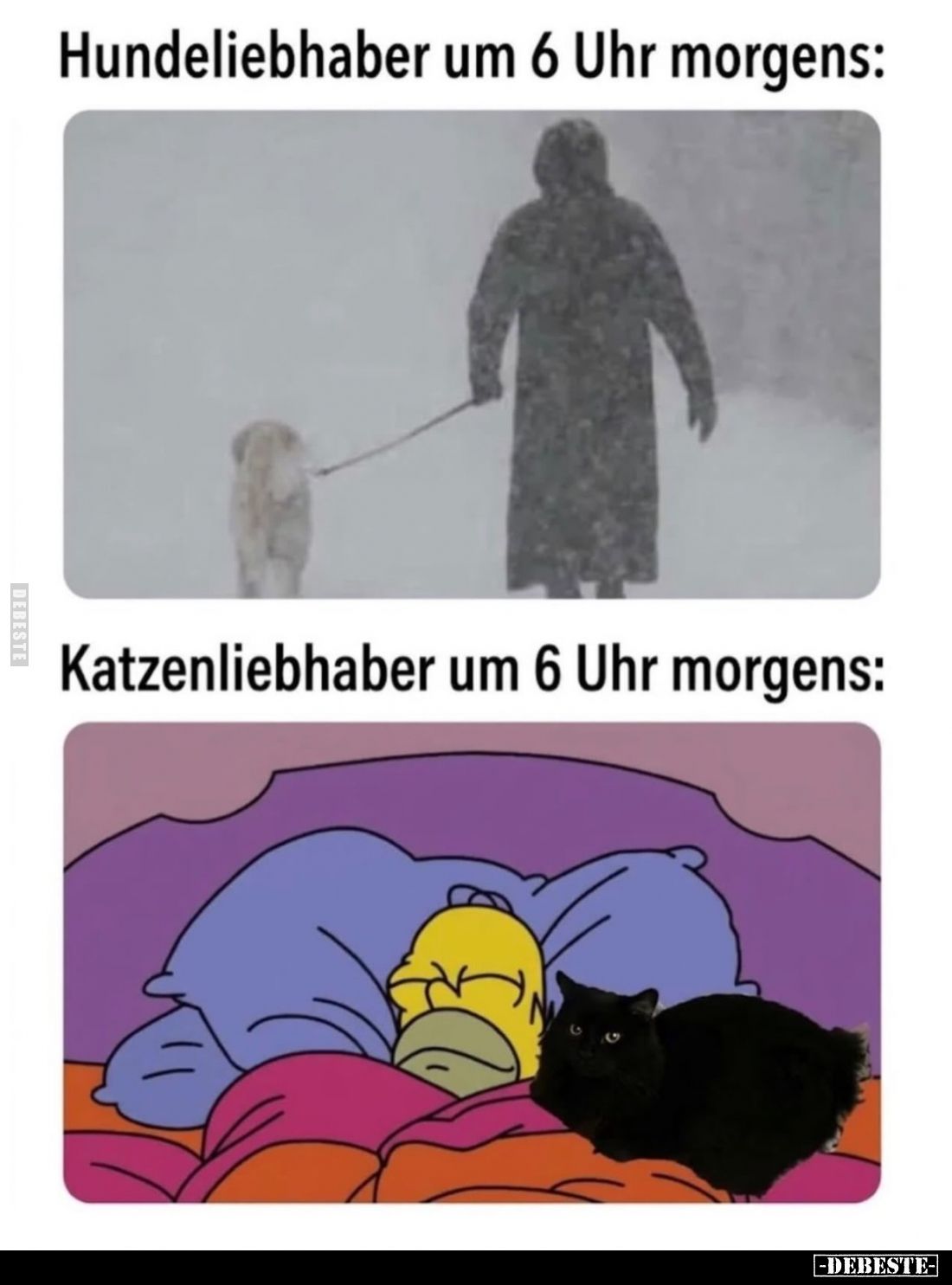 Hundeliebhaber um 6 Uhr morgens: -
Katzenliebhaber um 6 Uhr morgens: