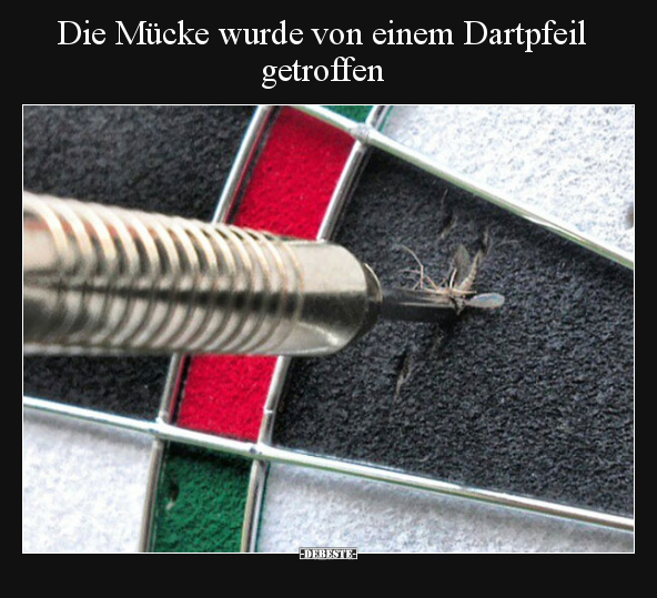Die Mücke wurde von einem Dartpfeil getroffen.. - Lustige Bilder | DEBESTE.de