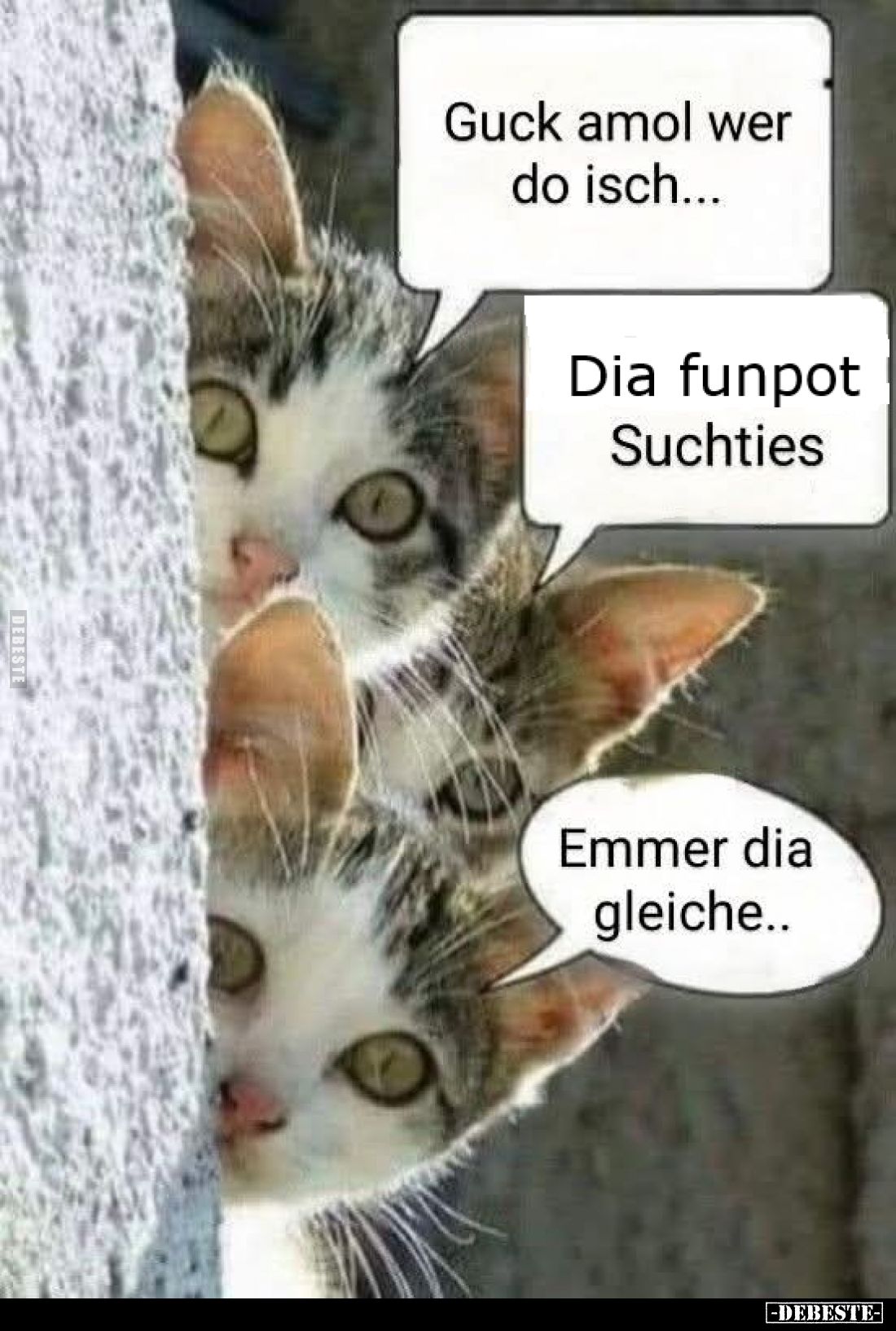 Guck amol wer do isch... -
Dia funpot Suchties. -
Emmer dia gleiche..