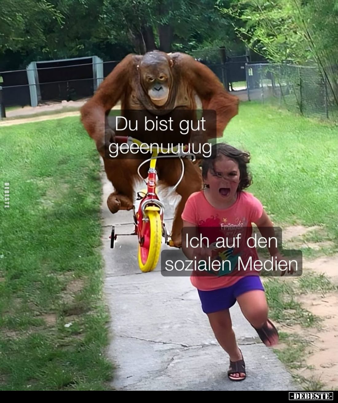 Du bist gut geeenuuuug. -
Ich auf den sozialen Medien.