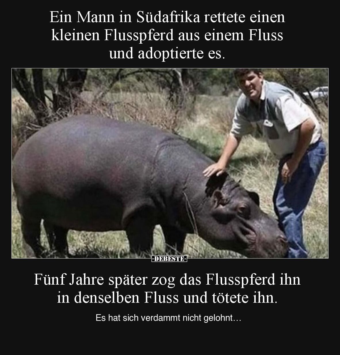 Ein Mann in Südafrika rettete einen kleinen Flusspferd aus einem Fluss und adoptierte es.

Fünf Jahre später zog das Flussp...