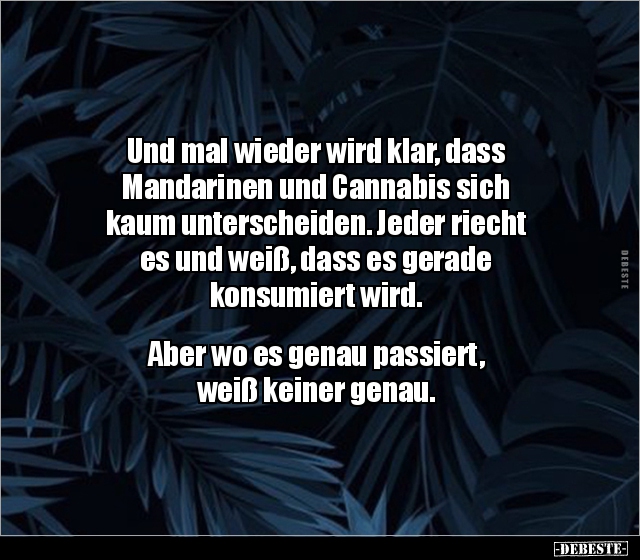 Und mal wieder wird klar, dass Mandarinen und Cannabis.. - Lustige Bilder | DEBESTE.de