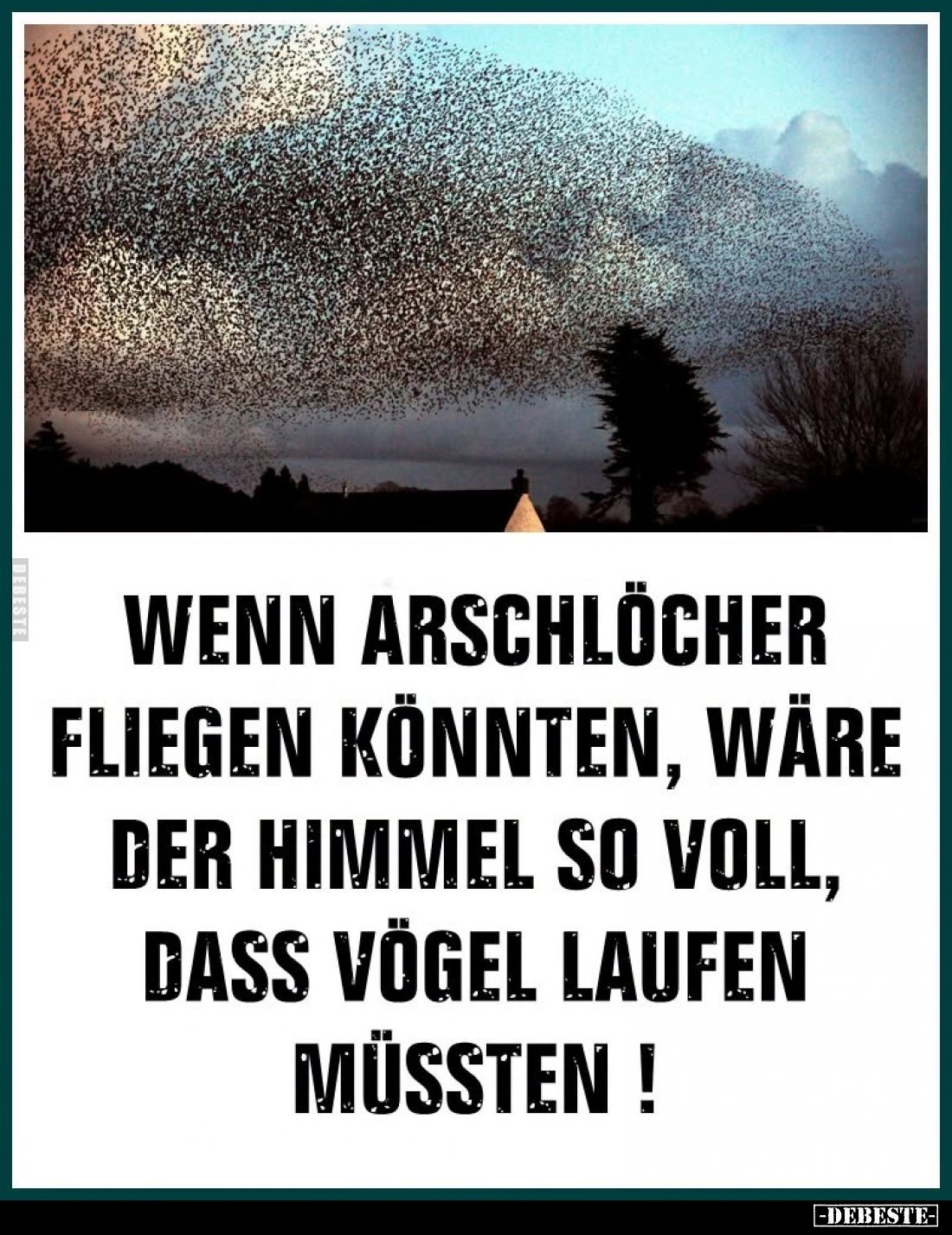 Wenn Arschlöcher fliegen könnten, wäre der Himmel so voll, dass Vögel laufen müssten!