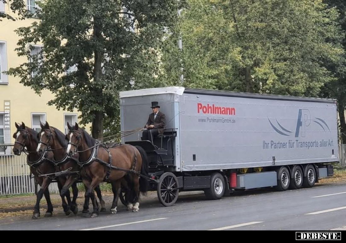  - Lustige Bilder | DEBESTE.de