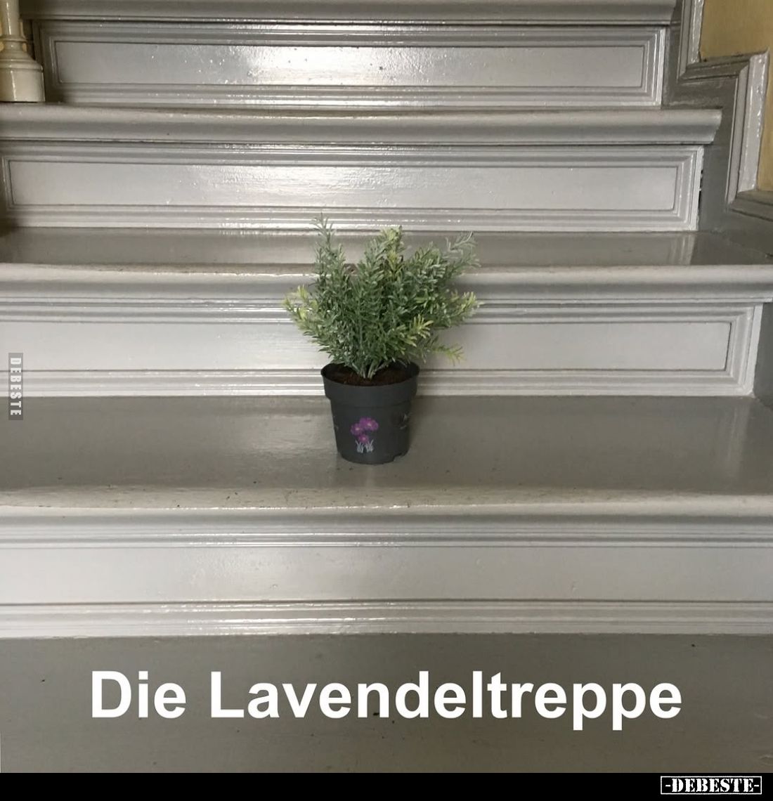 Die Lavendeltreppe.