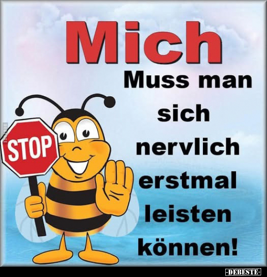 Mich 
Muss man 
sich 
nervlich 
erstmal 
leisten 
können!