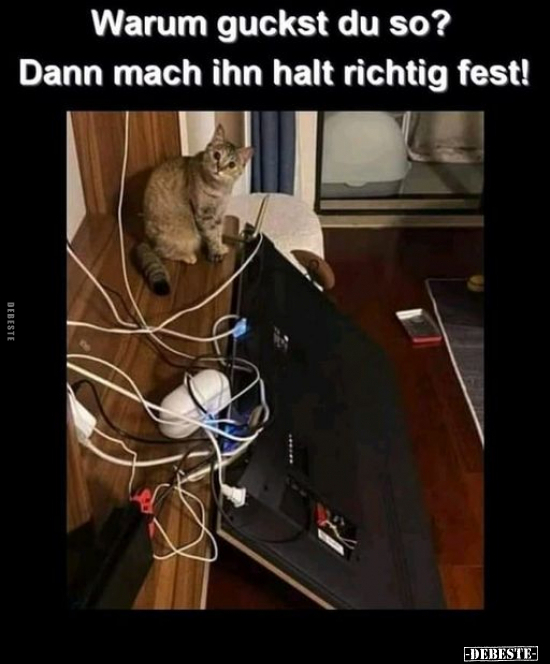 Warum guckst du so? Dann mach ihn halt richtig fest!.. - Lustige Bilder | DEBESTE.de