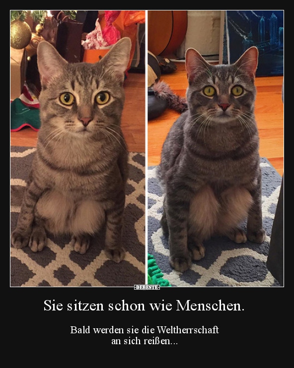 Sie sitzen schon wie Menschen.. - Lustige Bilder | DEBESTE.de