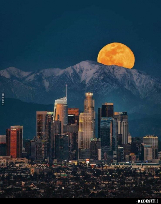  - Lustige Bilder | DEBESTE.de