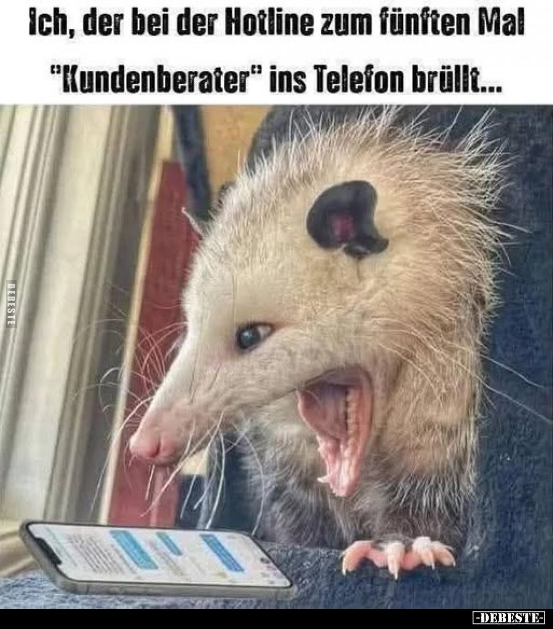 Ich, der bei der Hotline zum fünften Mal "Kundenberater" ins Telefon brüllt...
