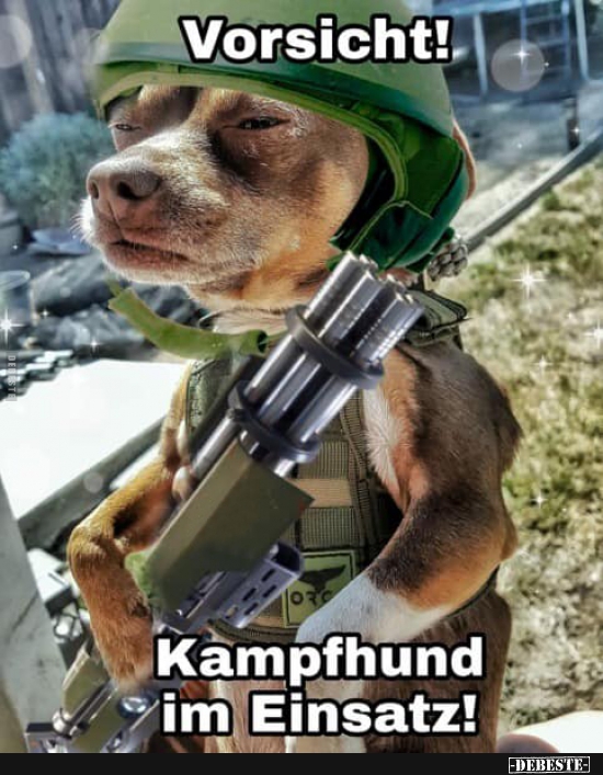 Vorsicht! Kampfhund im Einsatz! - Lustige Bilder | DEBESTE.de