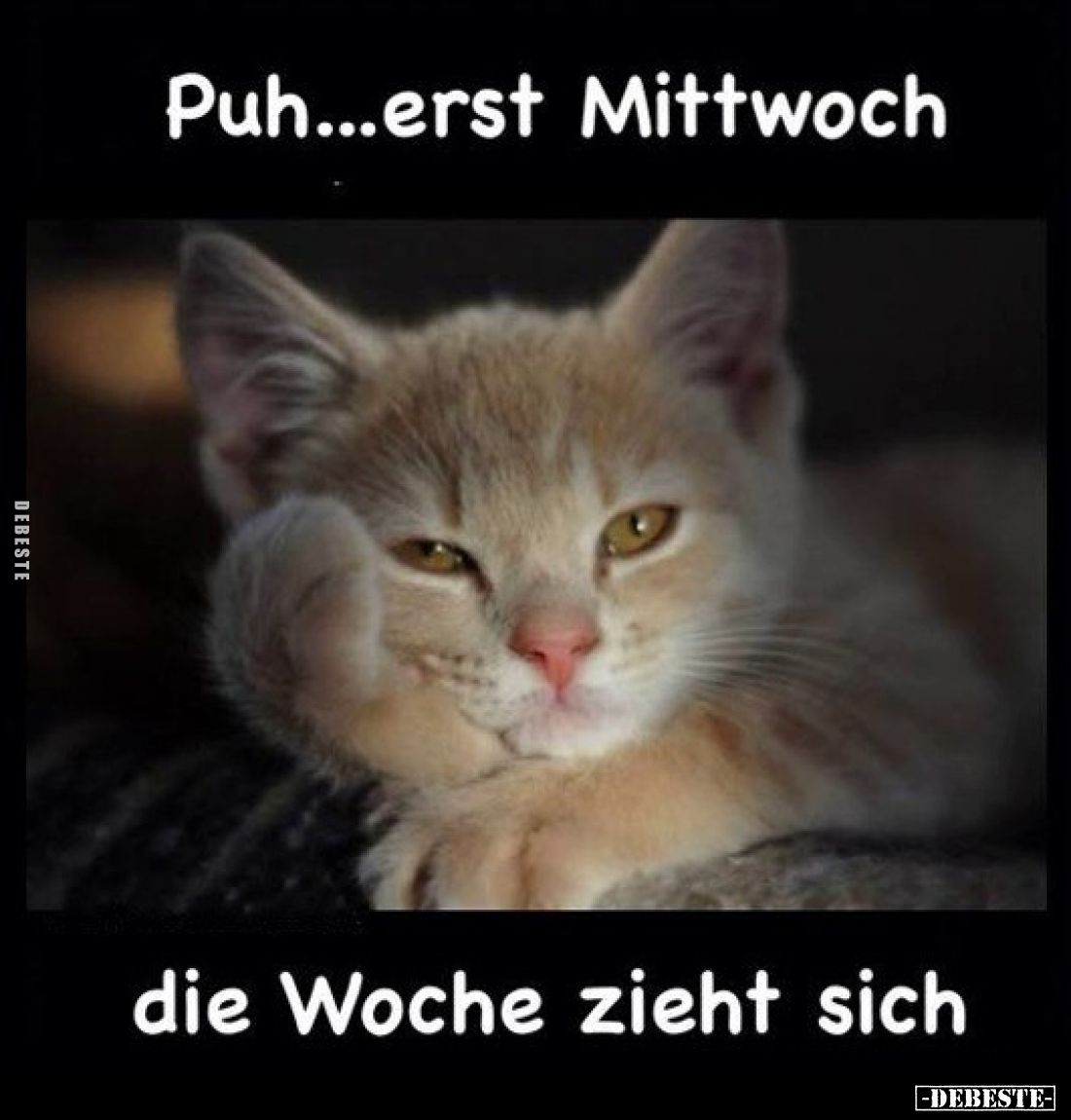 Puh...erst Mittwoch
die Woche zieht sich