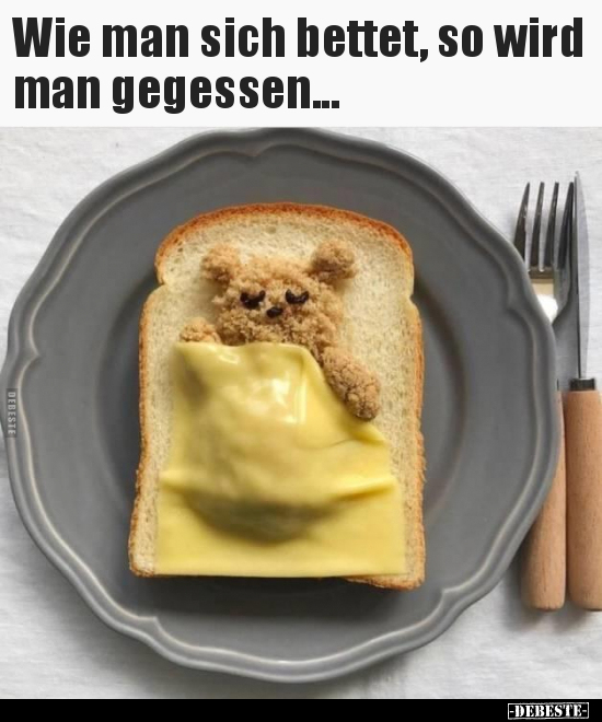 Wie man sich bettet, so wird man gegessen... DEBESTE.de