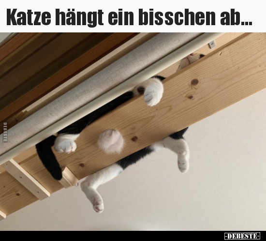 Katze hängt ein bisschen ab... - Lustige Bilder | DEBESTE.de