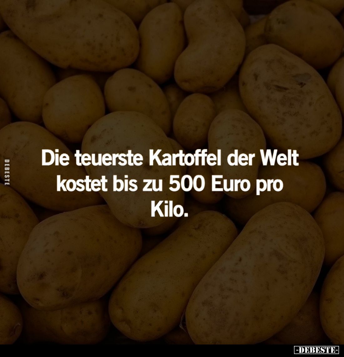 Die teuerste Kartoffel der Welt kostet bis zu 500 Euro pro Kilo.