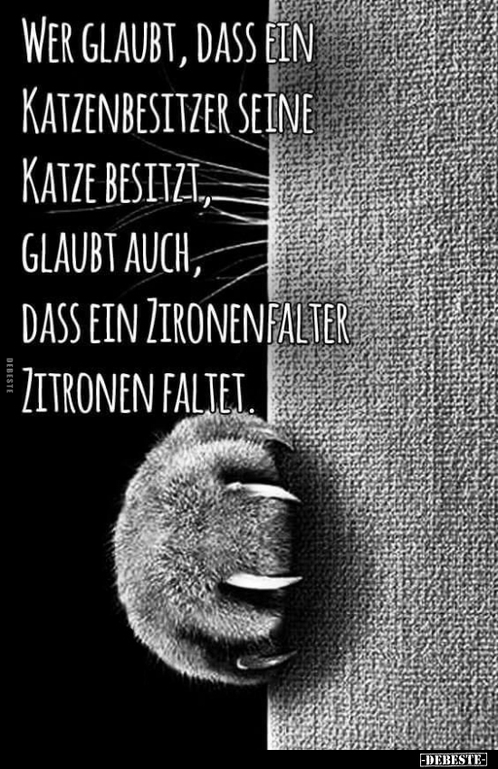 Wer glaubt, dass ein Katzenbesitzer.. - Lustige Bilder | DEBESTE.de