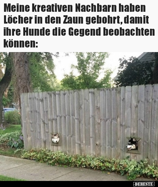 Meine kreativen Nachbarn haben Löcher in den Zaun gebohrt.. - Lustige Bilder | DEBESTE.de