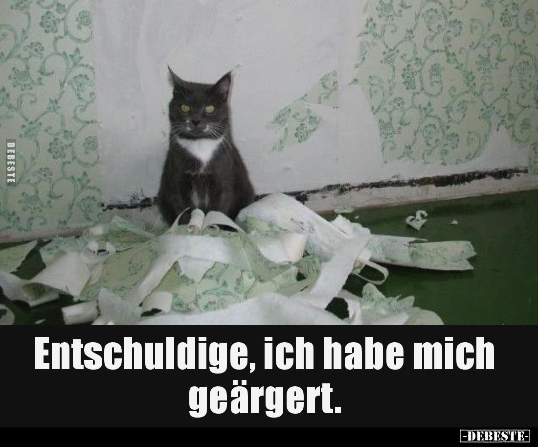 Entschuldige, ich habe mich geärgert.