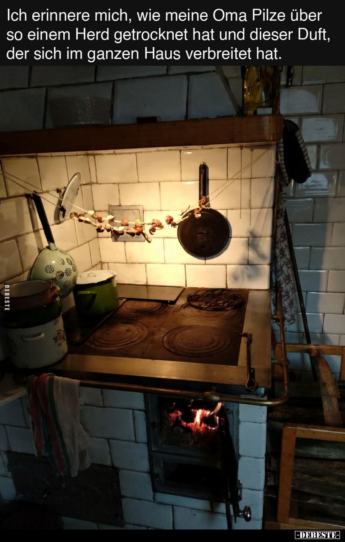 Ich erinnere mich, wie meine Oma Pilze über so einem Herd getrocknet hat und dieser Duft, der sich im ganzen Haus verbreitet ...
