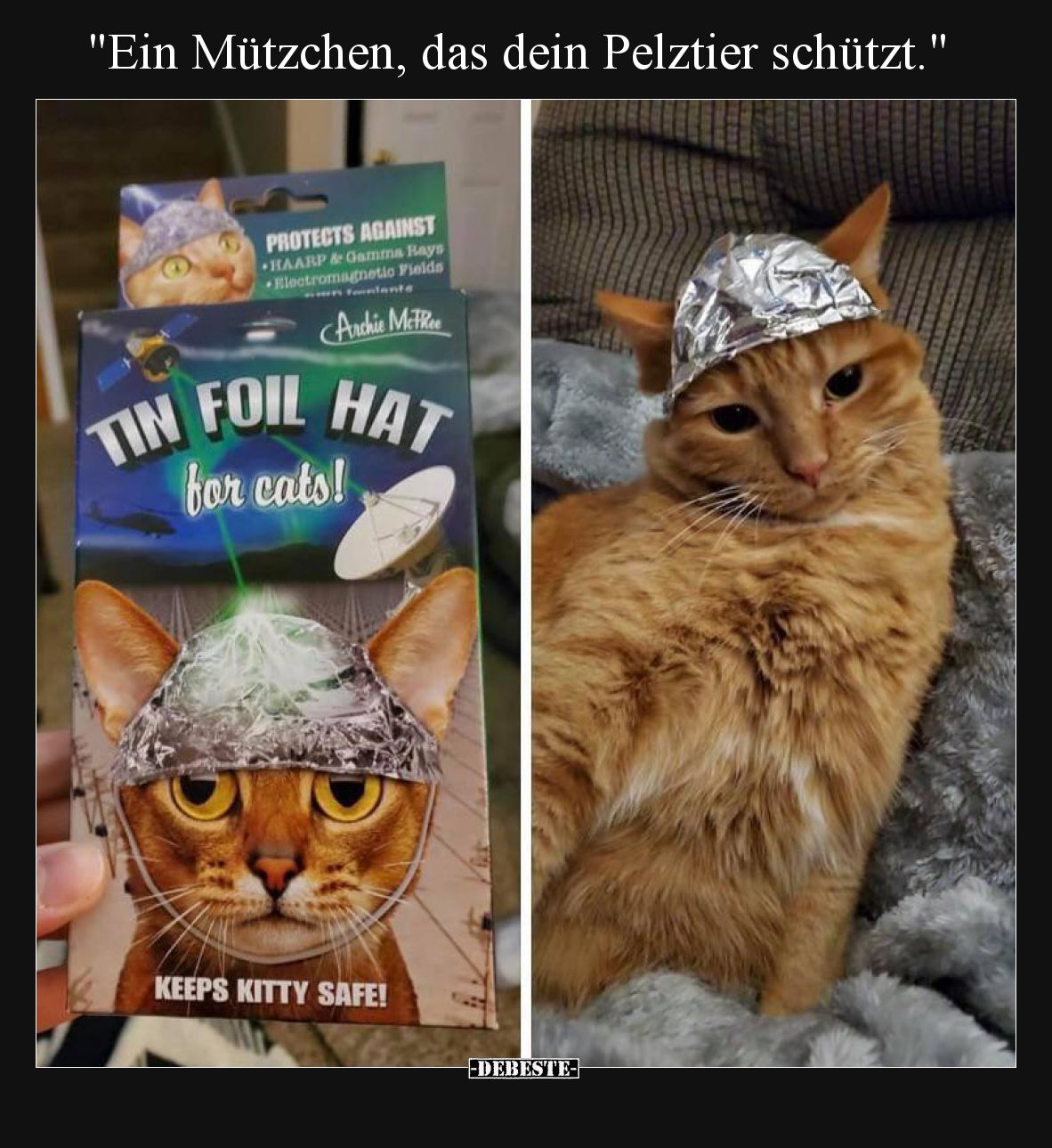 Ein Mützchen, das dein Pelztier schützt