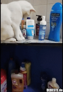  - Lustige Bilder | DEBESTE.de