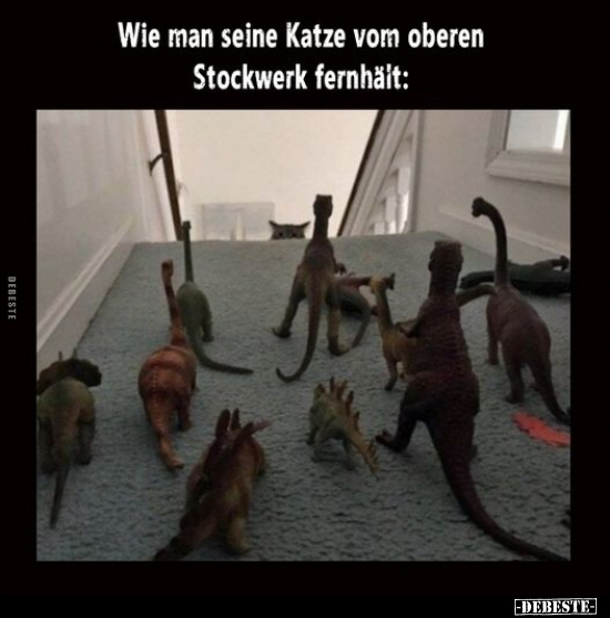 Wie man seine Katze vom oberen Stockwerk fernhält.. - Lustige Bilder | DEBESTE.de