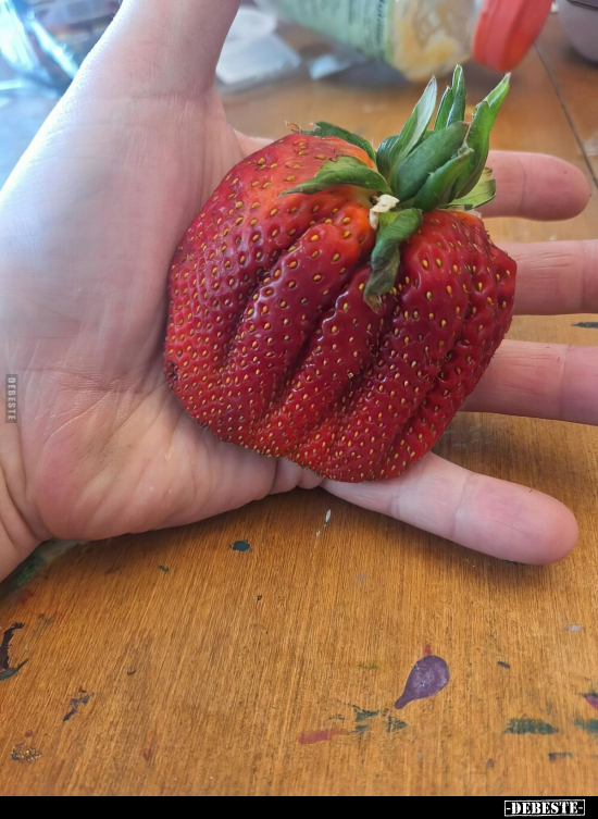  - Lustige Bilder | DEBESTE.de