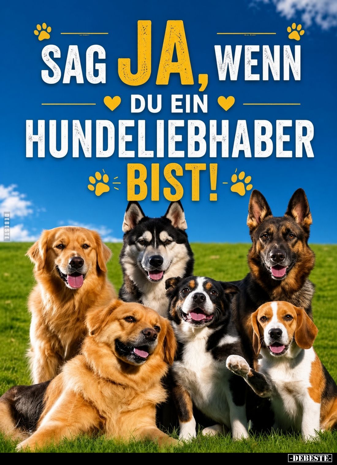 Sag ja, wenn du ein Hundeliebhaber bist!