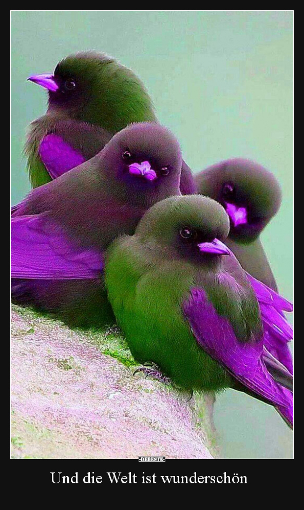 Und die Welt ist wunderschön