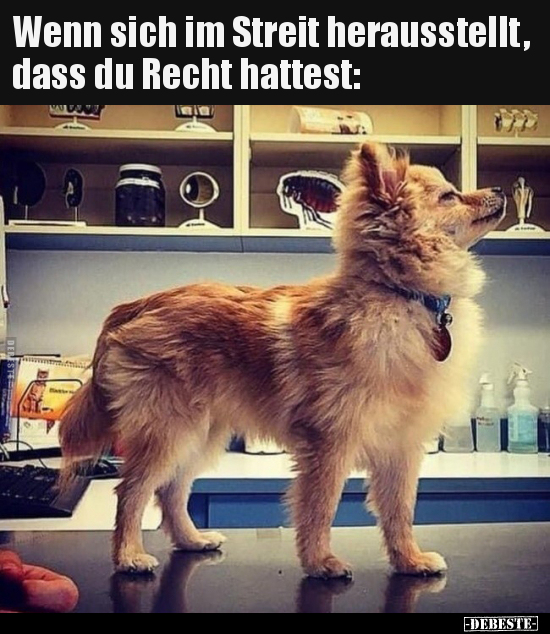 Wenn sich im Streit herausstellt, dass du Recht..