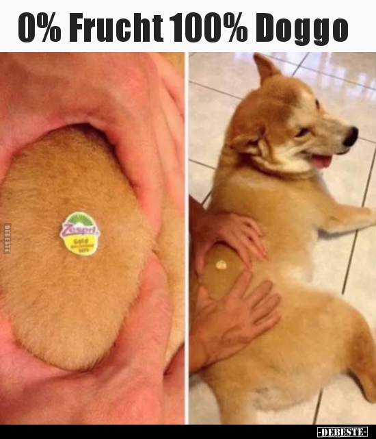 0% Frucht 100% Doggo.. - Lustige Bilder | DEBESTE.de