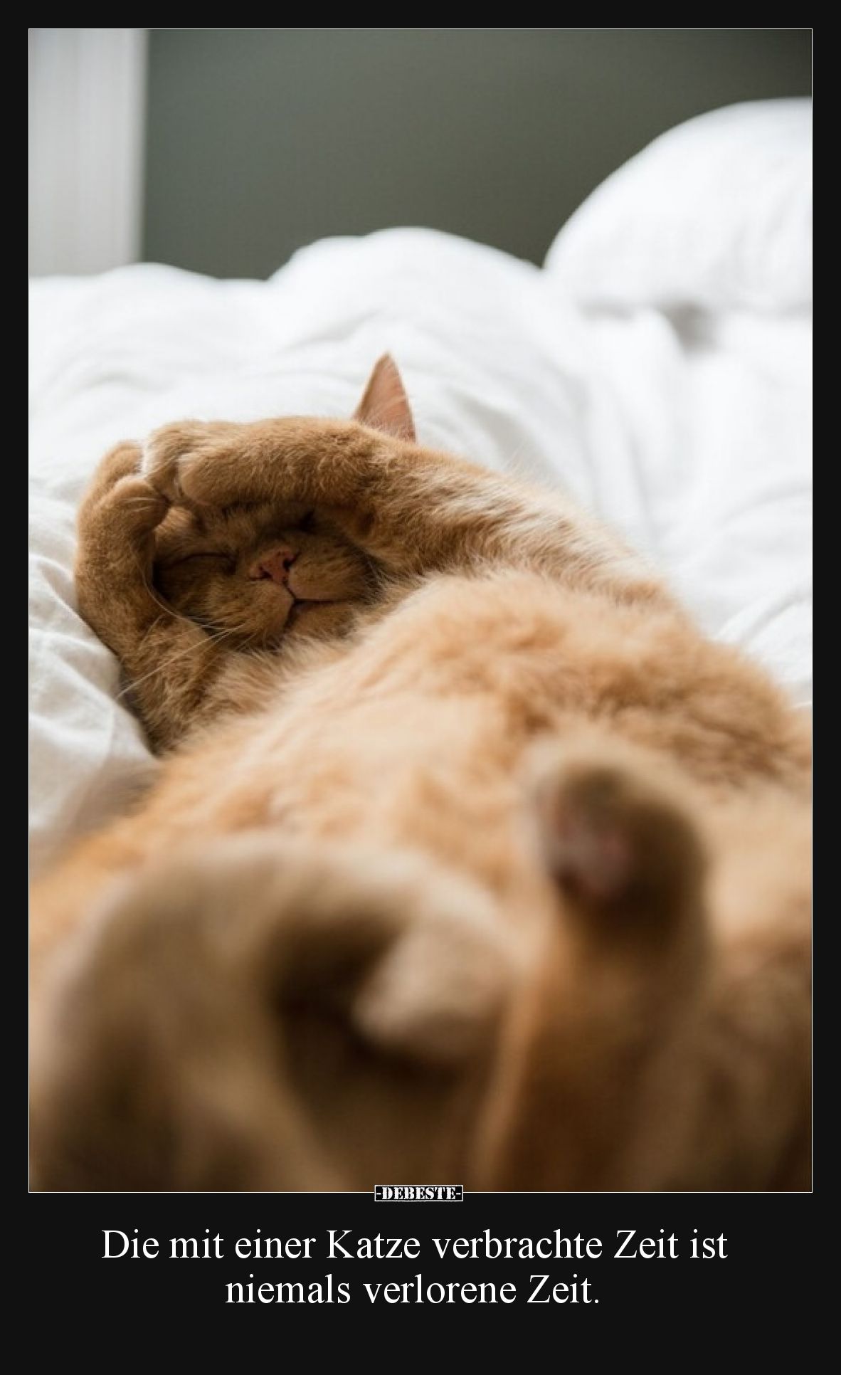 Die mit einer Katze verbrachte Zeit ist niemals verlorene Zeit.