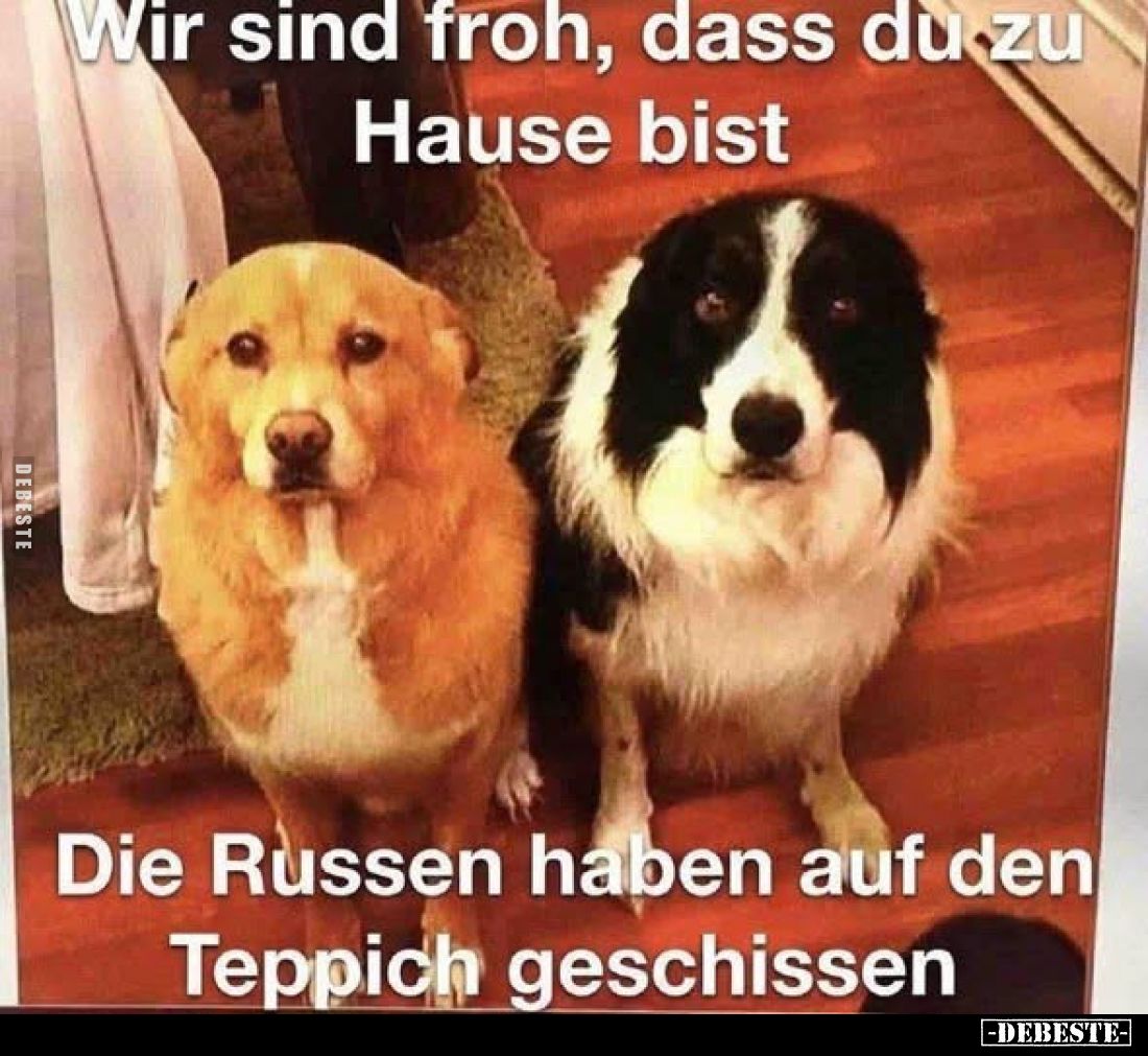 Wir sind froh, dass du zu Hause bist
-
Die Russen haben auf den Teppich geschissen