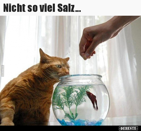 Nicht so viel Salz...