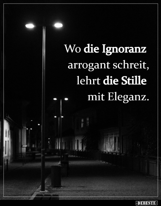 Wo die Ignoranz arrogant schreit, lehrt die Stille mit Eleganz. - Lustige Bilder | DEBESTE.de