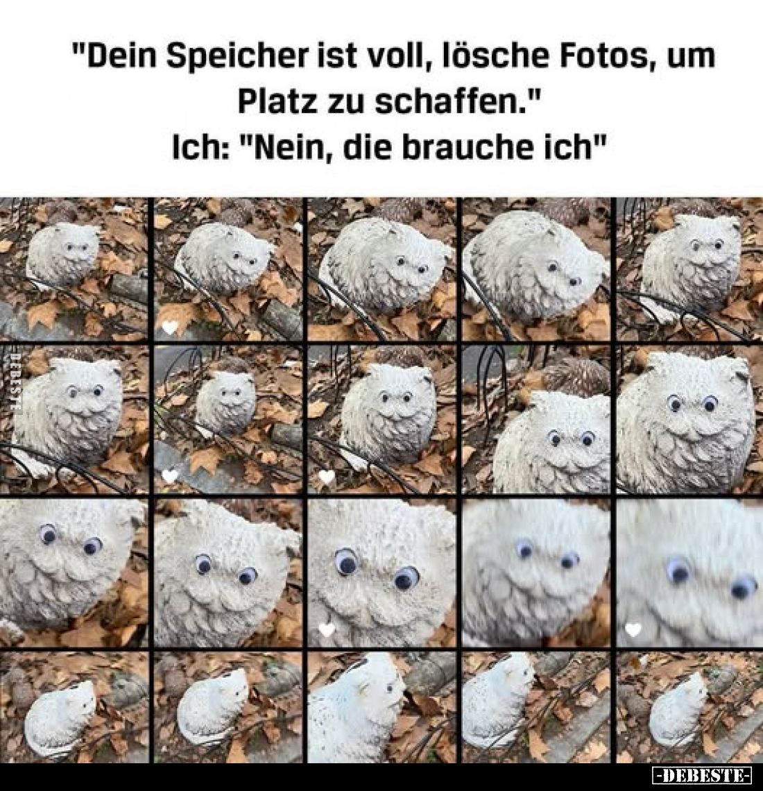 "Dein Speicher ist voll, lösche Fotos, um Platz zu schaffen." Ich: "Nein, die brauche ich"
