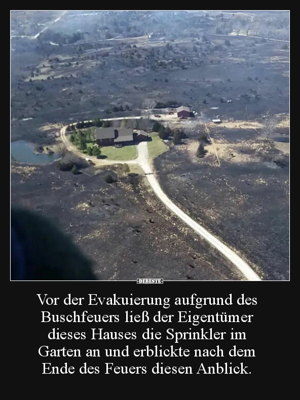 Vor der Evakuierung aufgrund des Buschfeuers ließ der.. - Lustige Bilder | DEBESTE.de