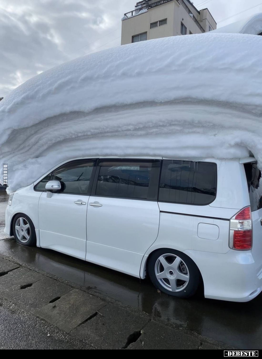  - Lustige Bilder | DEBESTE.de