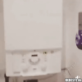  - Lustige Bilder | DEBESTE.de